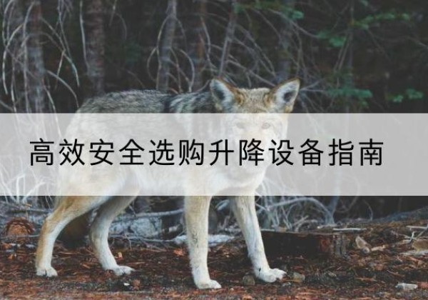 汤阴升降货梯厂家推荐-*安全选购升降设备指南