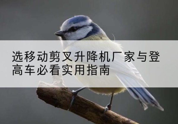 汤阴电动升降机厂家-选移动剪叉升降机厂家与登高车必看实用指南