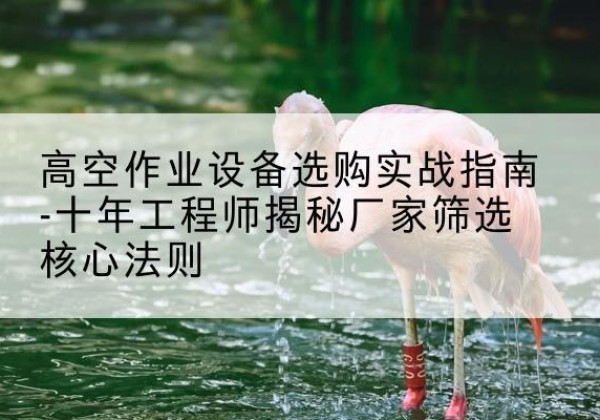 汤阴剪叉式升降机厂家-高空作业设备选购实战指南-十年工程师揭秘厂家筛选核心法则