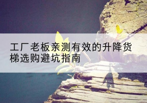 汤阴升降货梯怎么选-工厂老板亲测有效的升降货梯选购避坑指南